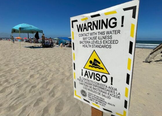 Beachgoers Beware- High Bacteria Levels Close San Diego Beaches